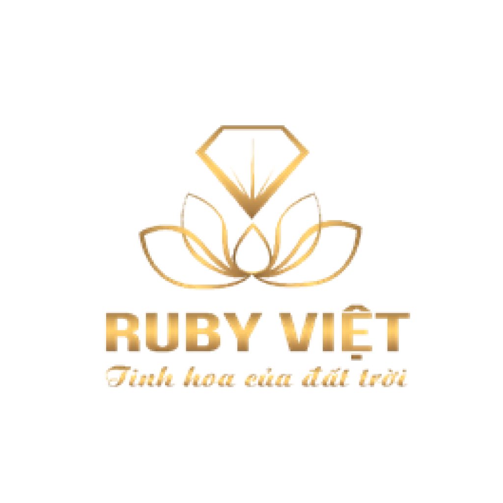 SAO VIET MEDIA