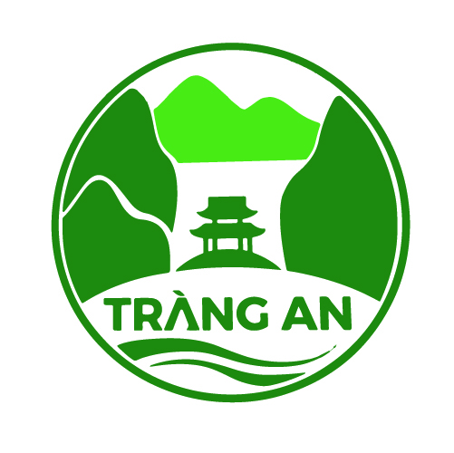 SAO VIET MEDIA