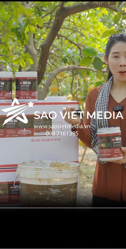 SAO VIET MEDIA