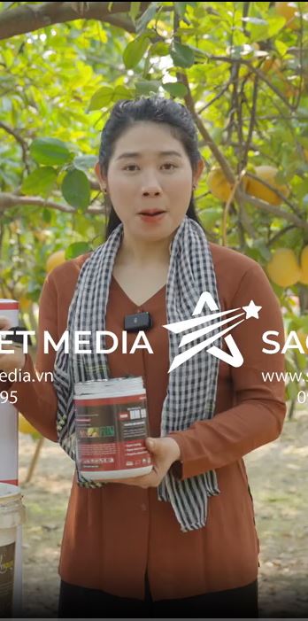 SAO VIET MEDIA