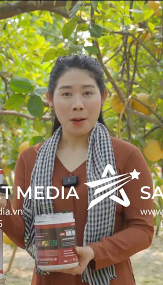 SAO VIET MEDIA
