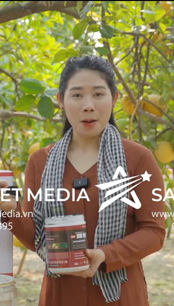 SAO VIET MEDIA