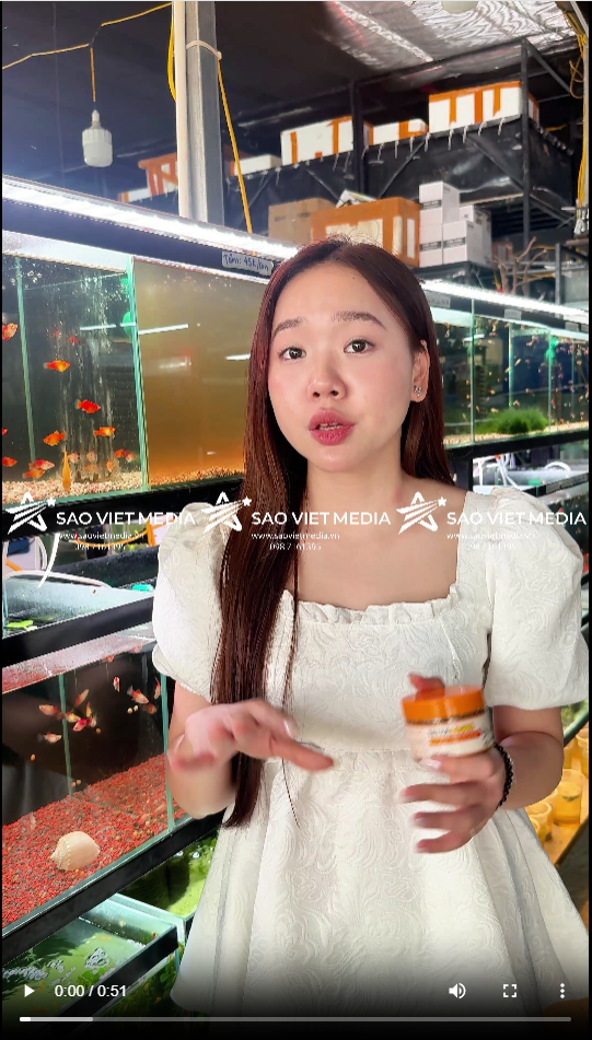 SAO VIET MEDIA
