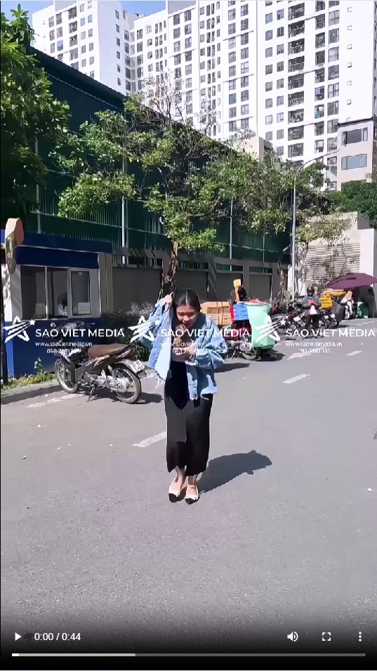 SAO VIET MEDIA